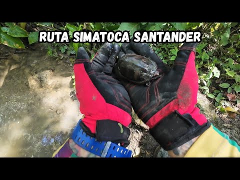 Ruta simacota santander