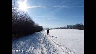 Shout Out Louds   -     Walking in Your Footsteps