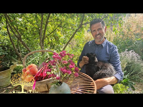 Gardeners’ World 2025 Ep22 | Adam Frost’s Mini-Meadow & Vita Sackville-West’s Legacy