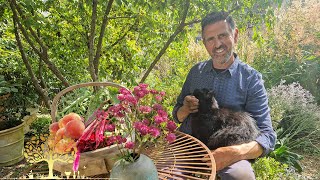 Gardeners’ World 2025 Ep22 | Adam Frost’s Mini-Meadow &amp; Vita Sackville-West’s Legacy