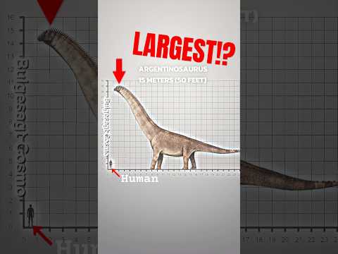 REAL-WORLD DINOSAURS SIZE COMPARISON: Giants of the Past