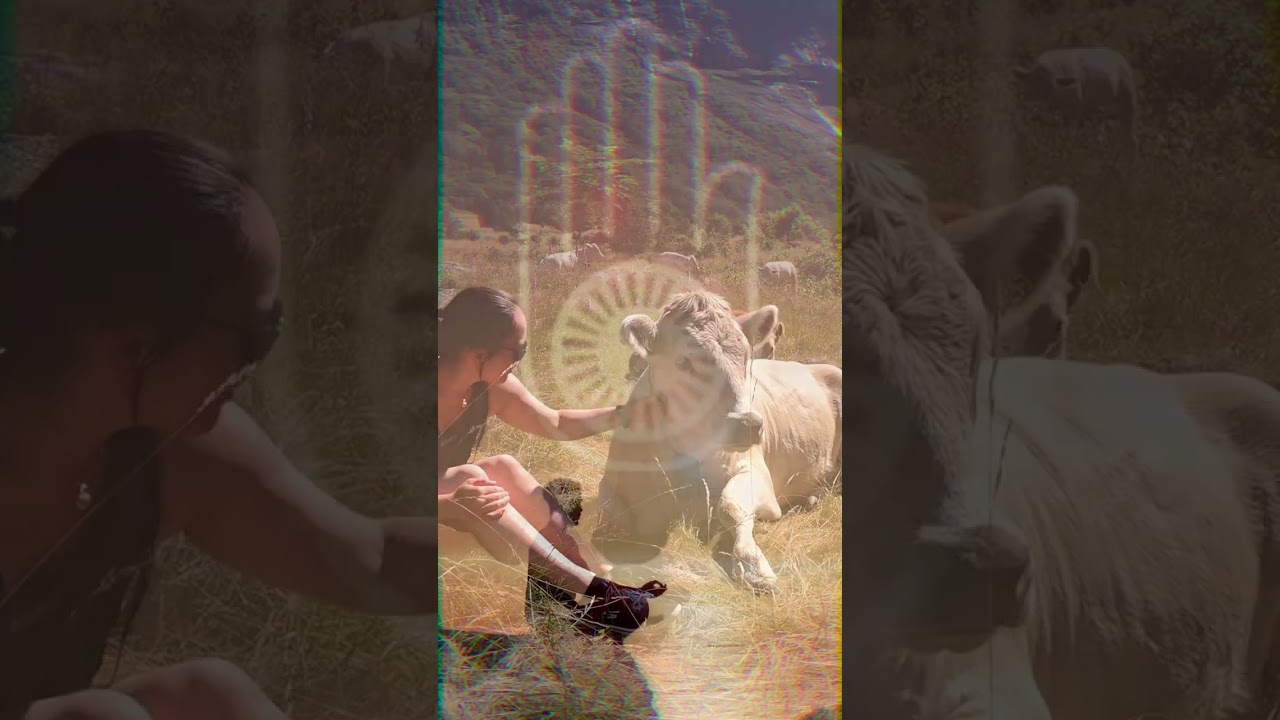 The Principle of Ahimsa