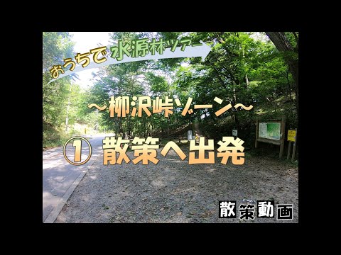 【おうちで水源林ツアー】 ～柳沢峠ゾーン～ ①散策へ出発