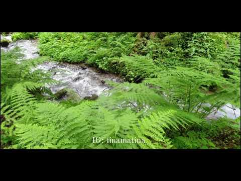 10 Minuten Body Scan. Mit Musik.