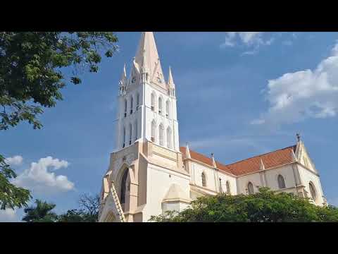 Cidade de Mococa SP
