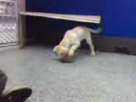 download lagu mp3 mp4 Stopsol Supersilver, download lagu Stopsol Supersilver gratis, unduh video klip Stopsol Supersilver