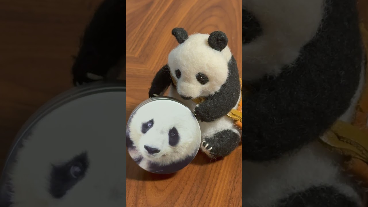 うちの子おやつ缶🐼 とっておきのお写真でつくるスペシャルアイテム🐼 タンタンのおやつ缶🐼 #shorts