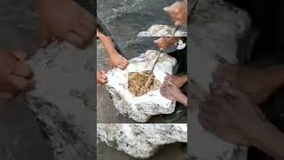 Download lagu TERNYATA PETANI JUGA TURUT ANDIL MENURUNKAN HARGA KARET mp3 Download lagu TERNYATA PETANI JUGA TURUT ANDIL MENURUNKAN HARGA KARET mp3