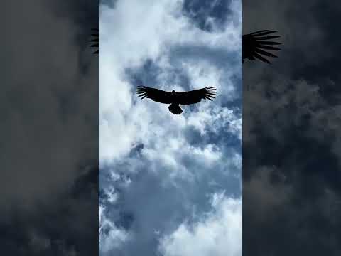 La Silleta, Las Juntas, Catamarca.