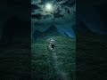 On My Way Alan Walker Slowed Reverb Aesthetic Status Shorts Lofi Status Trending
