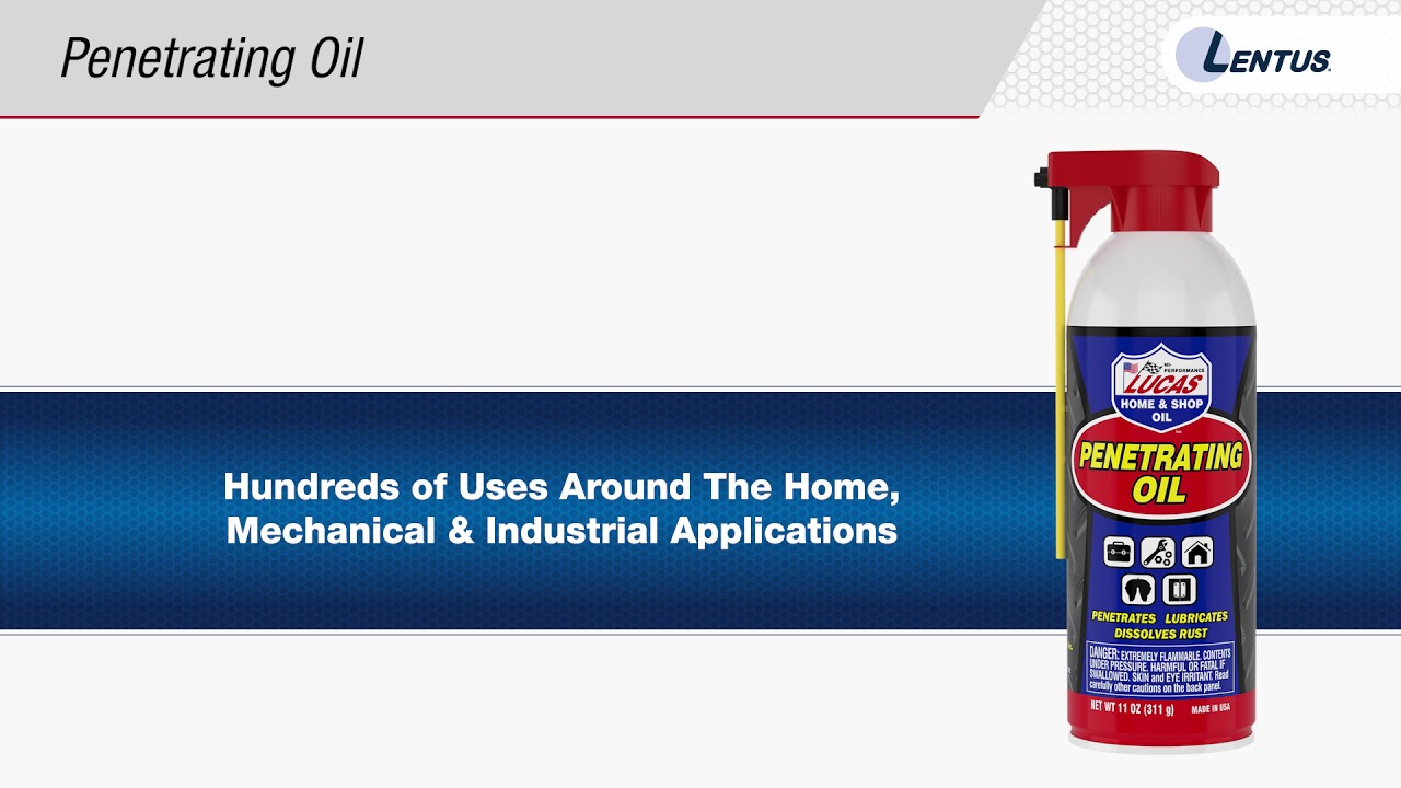 Lentus Training   Problem Solvers