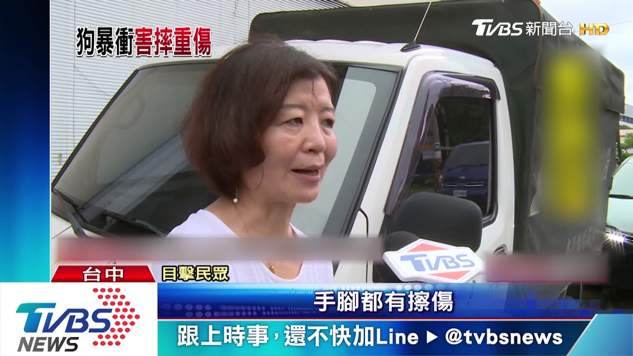 流浪狗衝馬路害女騎士斷腿 恐求償無門