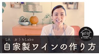 【自家製ワイン〜酢その1】山葡萄ワインを作ってみた(ゼロウェイスト、飲み終わったワインボトルで)