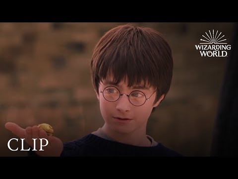 A Lesson In Quidditch
