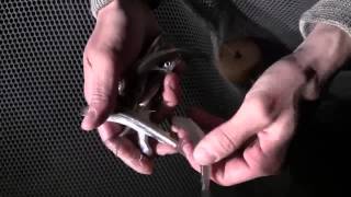 20 minute angler goes smelting