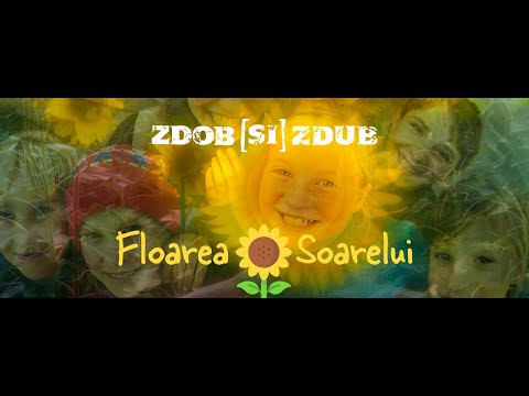 Zdob și Zdub — Floarea soarelui (Official music video)