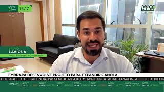 Miniatura do vídeo