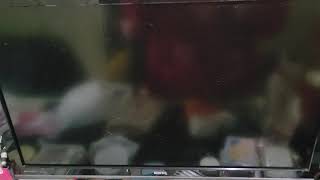 [求助] 開機只會閃兩下，就沒反應