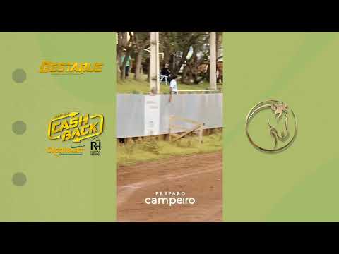 Aqui esta tua égua baia 