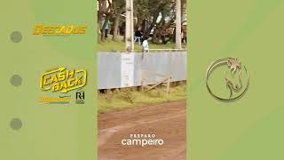 Aqui esta tua égua baia 