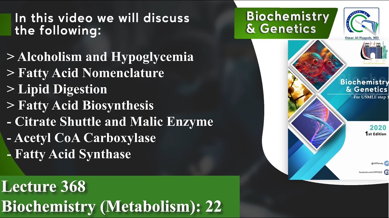 Alcoholism and Hypoglycemia | Fatty Acid Biosynthesis | Citrate Shuttle and Malic Enzyme
