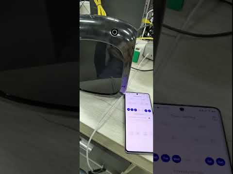 Scent Play video thumbnail