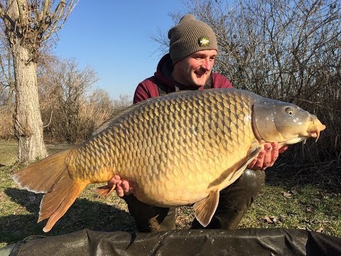 Rob Hughes Lands 50lb Italian Carp