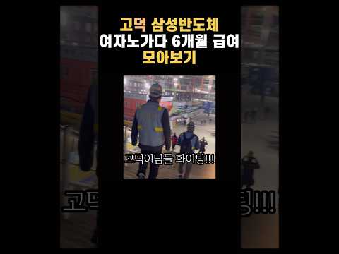 고덕 삼성반도체 노가다 6개월하고 포기 그동안 받은 급여명세서 모아봤습니다 #고덕 #노가다 #여자노가다 #숙식노가다