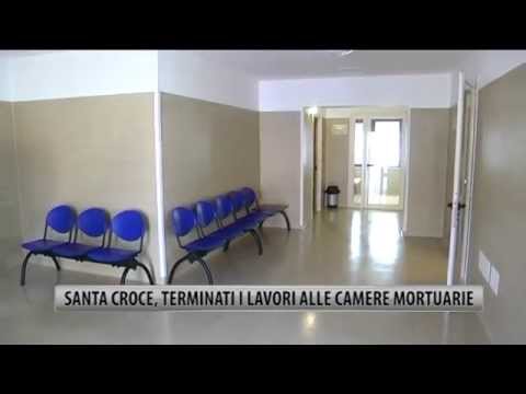 Semenova senza parassiti gratuitamente Funghi commestibili e parassiti di funghi
