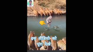 Download lagu dekh Tamasha lakadi ka..#moki #reels #youtube #2023 #subscribe #like #instagram #bideo #funny mp3