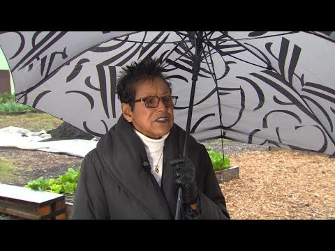 After the Black Panthers: The continuing revolution