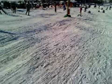 nebunie la malini pe partie