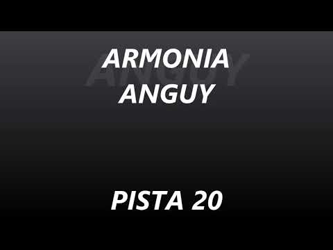 ARMONIA ANGUY - PISTA 20 - DE CANTINA EN CANTINA