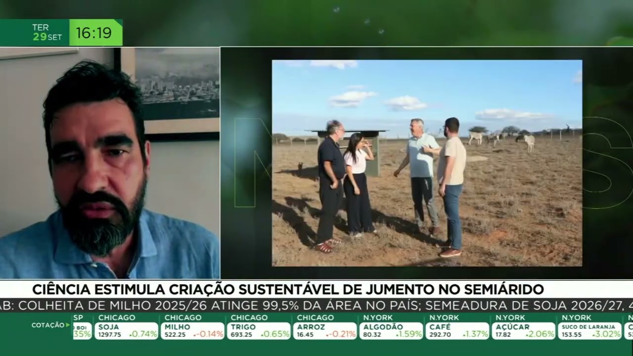 Ciência estimula criação sustentável de jumento no semiárido