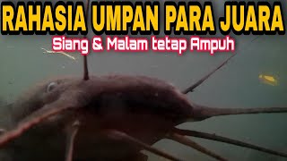 Download lagu ಬೆಕ್ಕುಮೀನು ಬೆಟ್ನ ರಹಸ್ಯಗಳು | ಬೆಟ್ ಏನೇ ಇರಲಿ, ಈ ಮಿಶ್ರಣವನ್ನು ಸೇರಿಸಿ, ಖಂಡಿತವಾಗಿ ಗೇಕರ್ !! mp3 Download lagu ಬೆಕ್ಕುಮೀನು ಬೆಟ್ನ ರಹಸ್ಯಗಳು | ಬೆಟ್ ಏನೇ ಇರಲಿ, ಈ ಮಿಶ್ರಣವನ್ನು ಸೇರಿಸಿ, ಖಂಡಿತವಾಗಿ ಗೇಕರ್ !! mp3