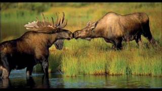 Don&#39;t count the rainy days