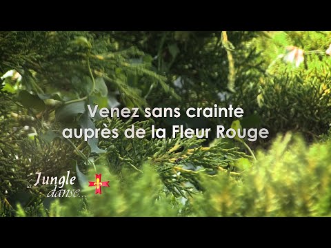 Danse de jungle Fleur Rouge