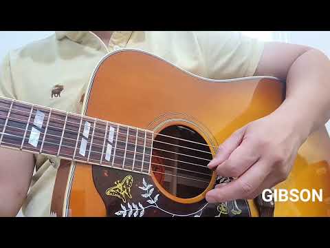 GIBSON Hummingbird vs EPIPHONE Inspired By Gibson Hummingbird | $4000 vs $800 Worth the difference?
