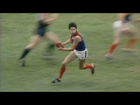 1980 That Was the Season That Was - VFL/AFL Year in Review