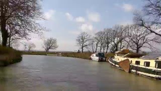 Bill Nelson (on Guitar) - For Stuart (Adamson) HD