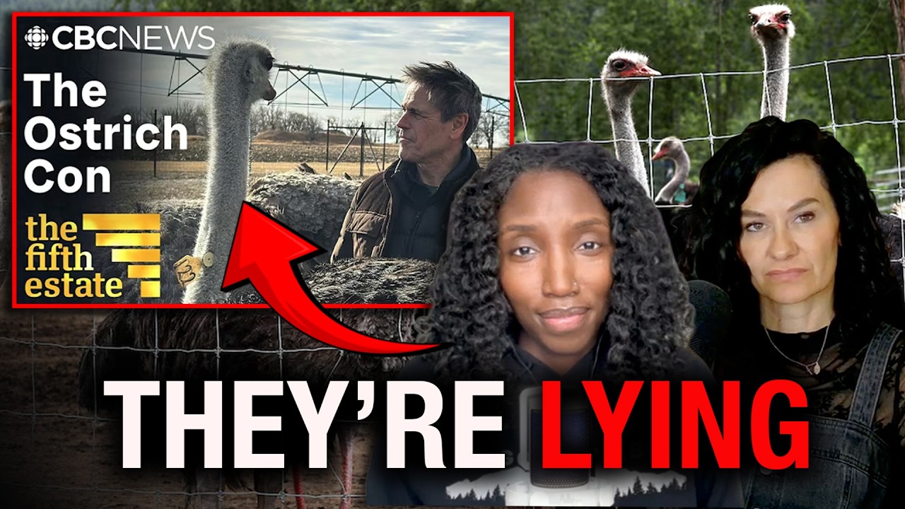 Regime media back at it...