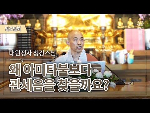 왜 아미타불보다 관세음을 찾을까요?(주지 청강스님)