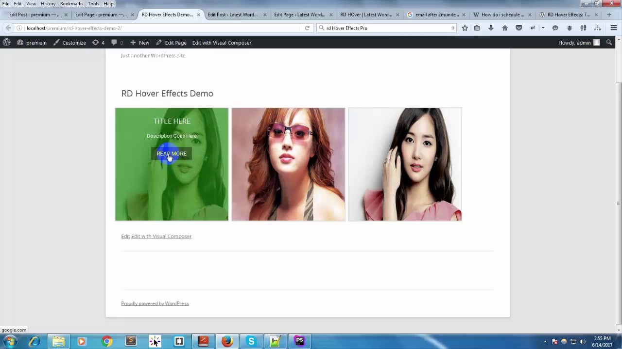 RD Hover Effects Wordpress plugin  Video Tutorial