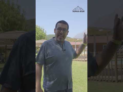 Donde esta ubicado domos Ocoa