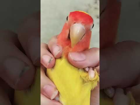 ۱۹ اوت ۲۰۲۴