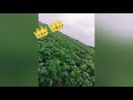 Me I Coming KGF Status Farm Soyabin