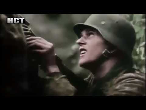 Battlefield Normandy 1944 Heavy Combat Footage