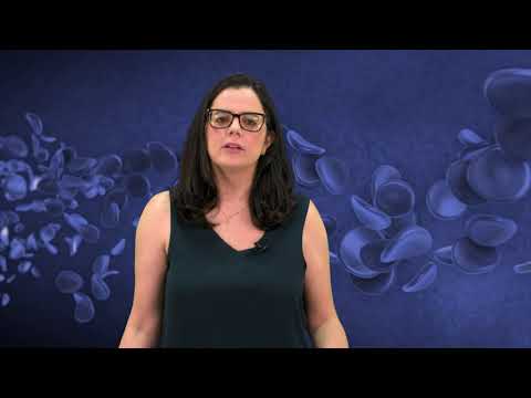 Fiz um hemograma que deu leucócitos baixos, e agora?