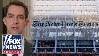 'The Five' calls out NY Times for 'caving to the left-wing mob'