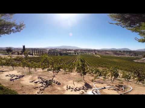 Trilogy's Temecula Wine Tour Oct 2015